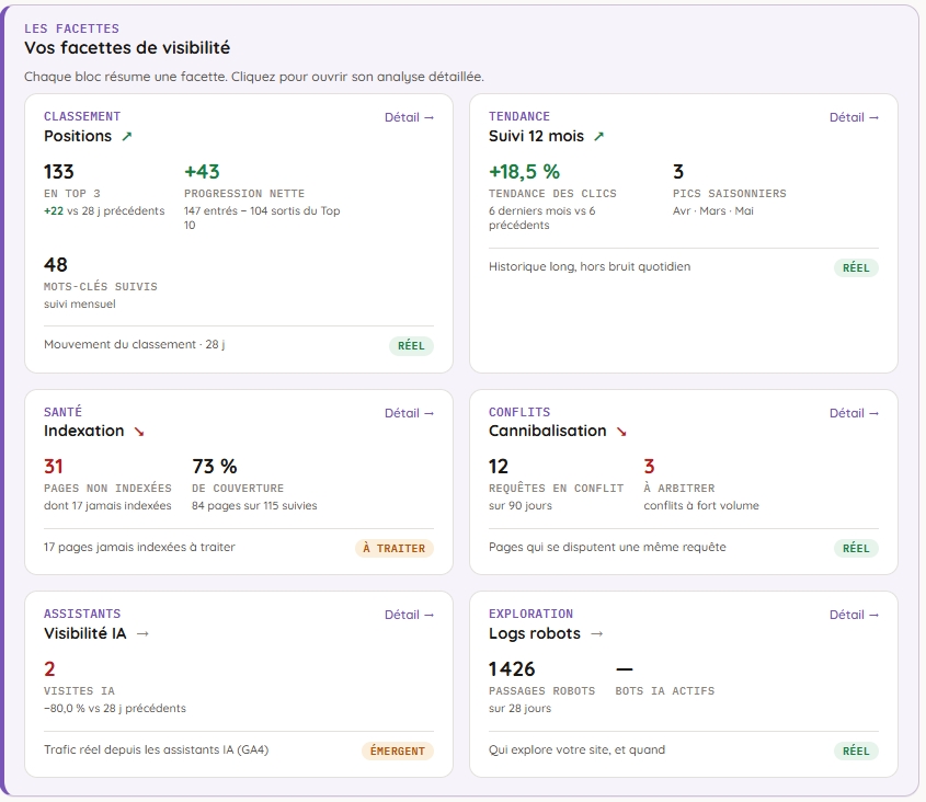 Écran Visibilité de Primoz : positions, tendance, indexation, cannibalisation, visibilité IA et logs robots